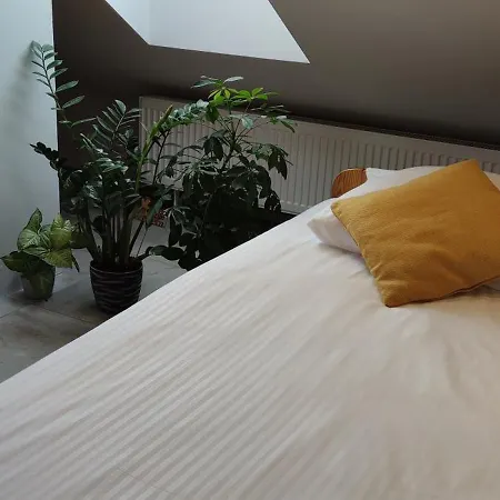 Apartment Apartament Hokus Pokus Bardo