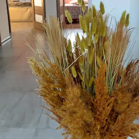 Apartment Hokus Pokus Bardo