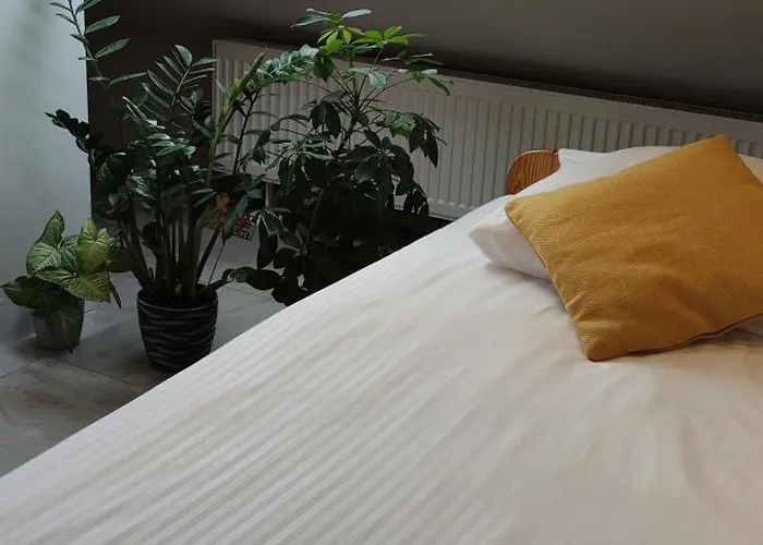 Apartmán Apartament Hokus Pokus Bardo