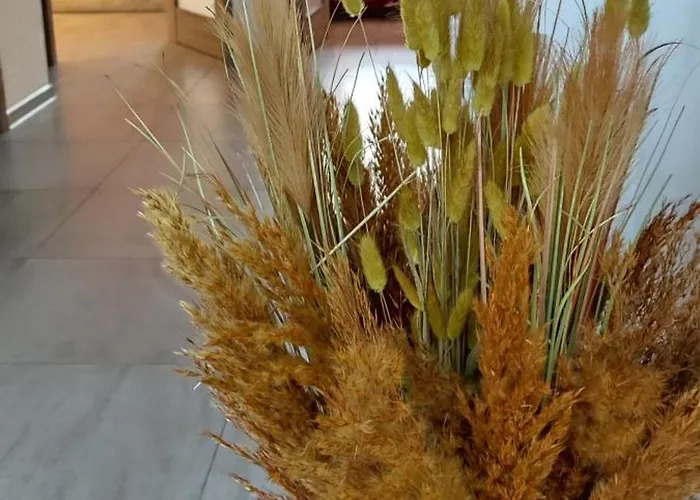 Apartmán Apartament Hokus Pokus Bardo